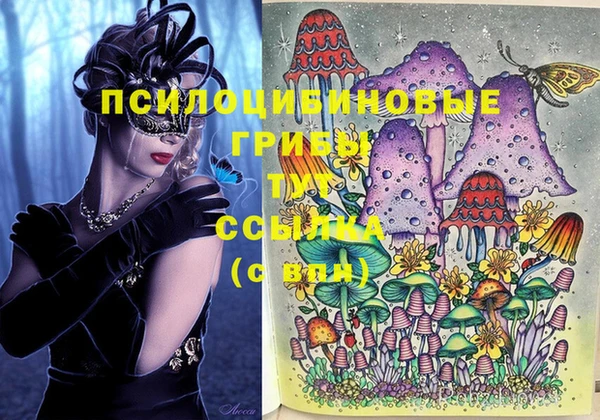 стаф Белоозёрский