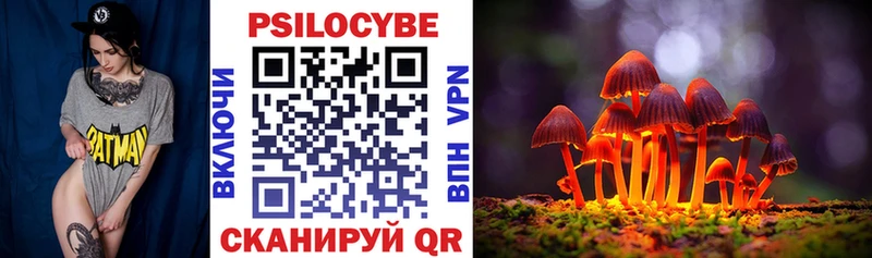 Псилоцибиновые грибы Psilocybine cubensis  shop состав  Ершов 